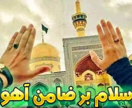 عکس دیزاین غذای ایرانی