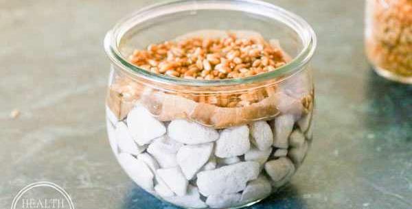 عکس سبزه در تنگ ماهی