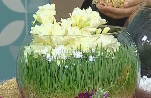 عکس سبزه در تنگ ماهی