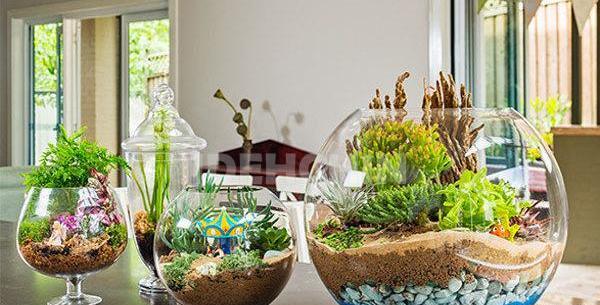 عکس سبزه در تنگ ماهی