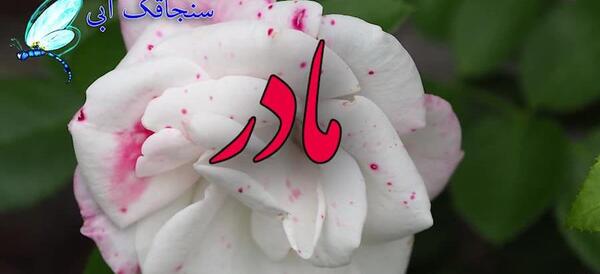 عکس نوشته تسلیت مادر زن