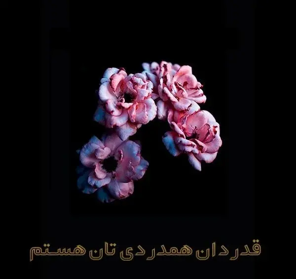 عکس نوشته تشکر از کسانی که تسلیت گفتند