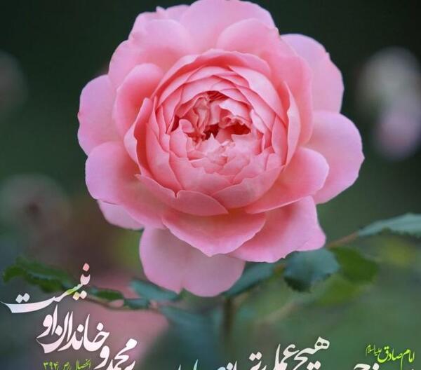 عکس نوشته صبح بخیر جمعه امام زمانی