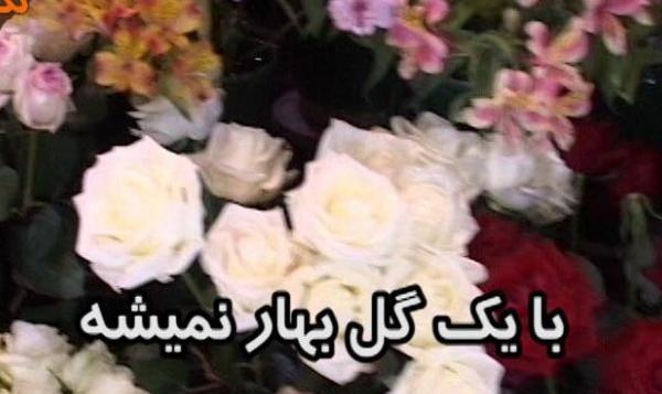 عکس نقاشی ضرب المثل با یک گل بهار نمی شود