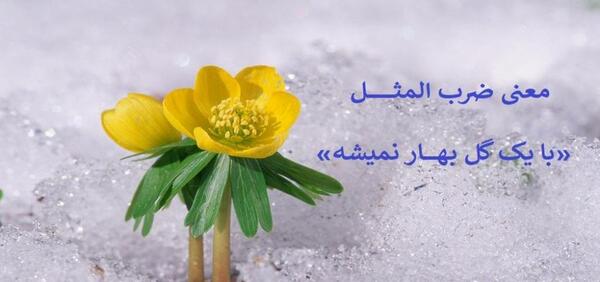 عکس نقاشی ضرب المثل با یک گل بهار نمی شود