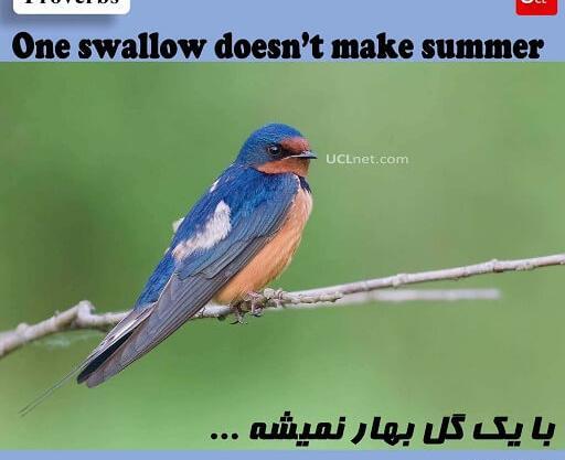 عکس نقاشی ضرب المثل با یک گل بهار نمی شود