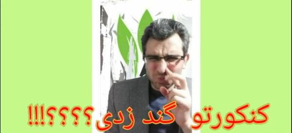 عکس سبزه دانه چیا