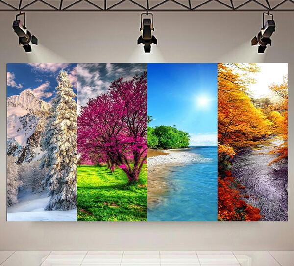 عکس نقاشی چهار فصل