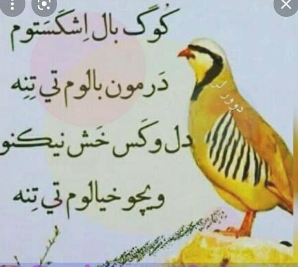 عکس نوشته عاشقانه لری برای پروفایل