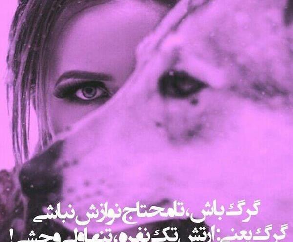 عکس گرگ با نوشته تیکه دار