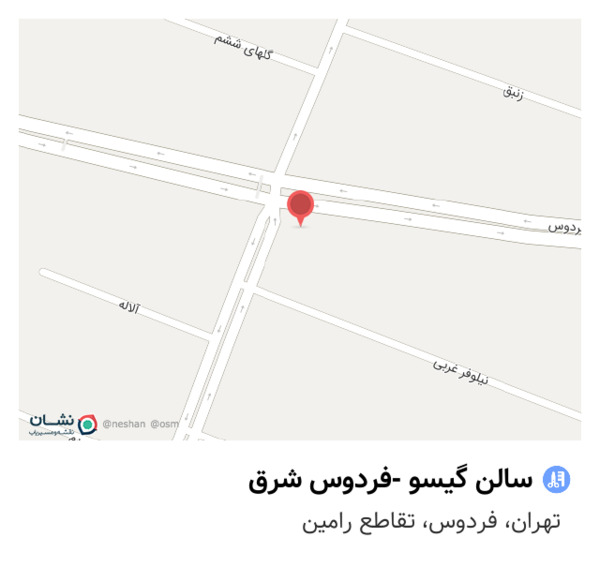 عکس سالن گیسو