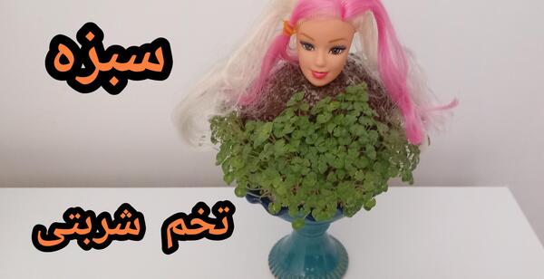 عکس سبزه با تخم شربتی