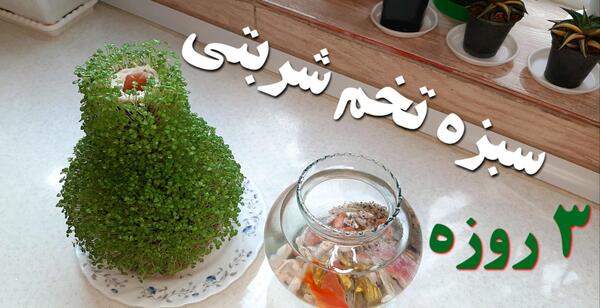 عکس سبزه با تخم شربتی