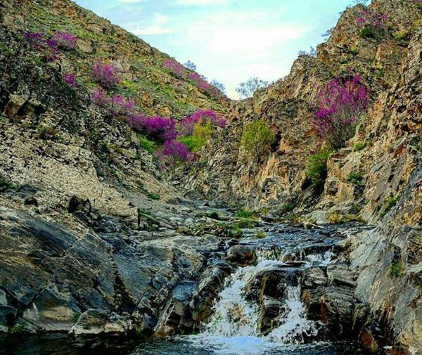 عکس رستوران تشریفات طرقبه