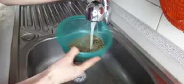 عکس سبزه نوروز جدید