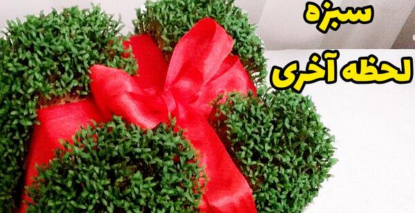 عکس سبزه نوروز جدید