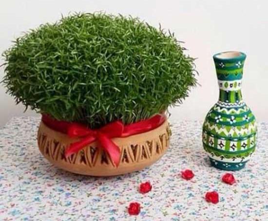 عکس سبزه نوروز جدید