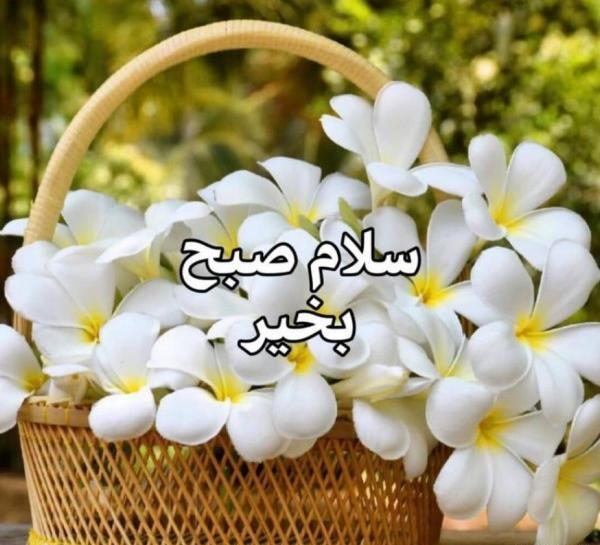 عکس نوشته صبح بخیر شروع هفته