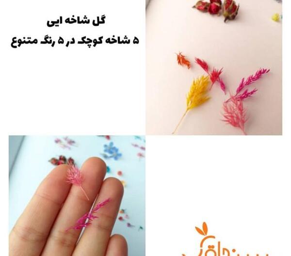 عکس دیزاین ناخن با گل خشک