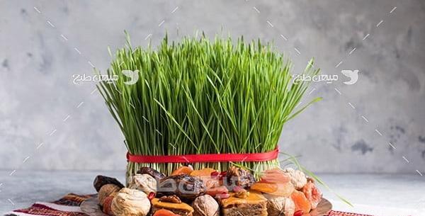 عکس سبزه نوروز