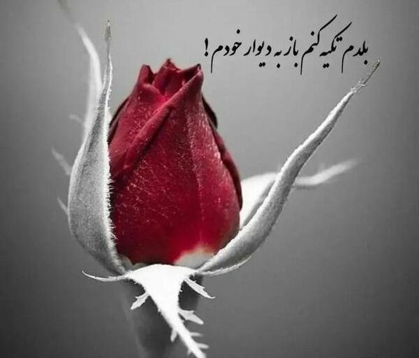 عکس نوشته تیکه دار در مورد لیاقت
