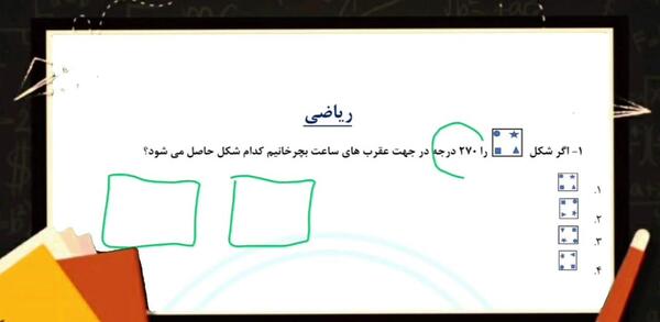 عکس سبزه لوبیا سفید