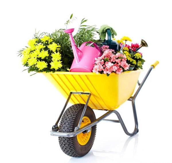 عکس نقاشی فرغون