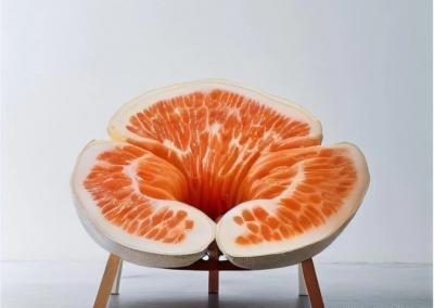 عکس مبل میوه ای