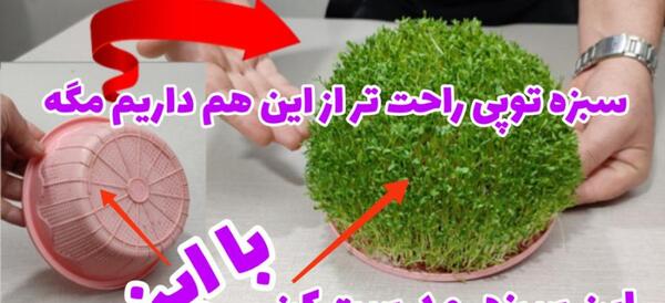 عکس سبزه شاهی برای عید