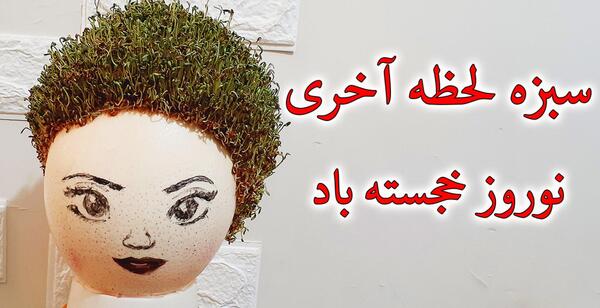عکس سبزه شاهی برای عید