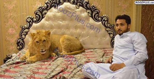 عکس حیوان مرد عنکبوتی