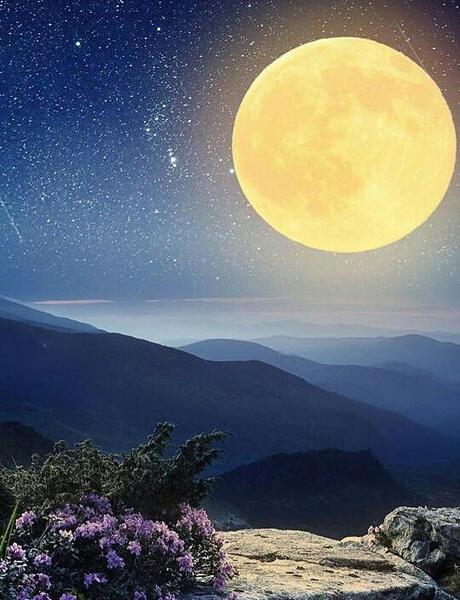 عکس نوشته صبح بخیر به عربی