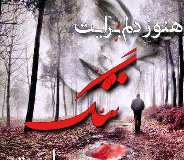 عکس نوشته دلتنگی و تنهایی جدید
