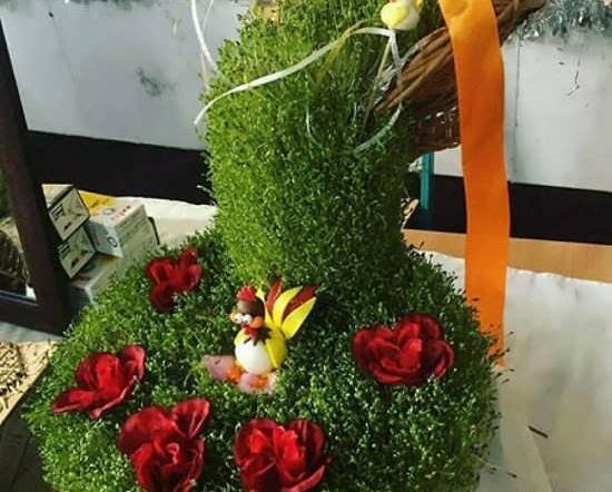 عکس سبزه ماش برای عید