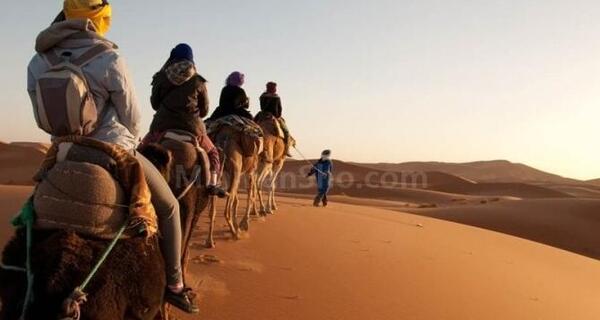 عکس های طنز مرد عنکبوتی