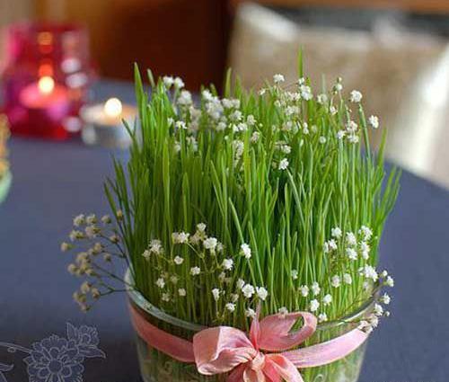 عکس سبزه فیک