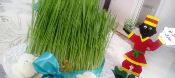 عکس سبزه فیک