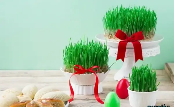 عکس سبزه با خرفه