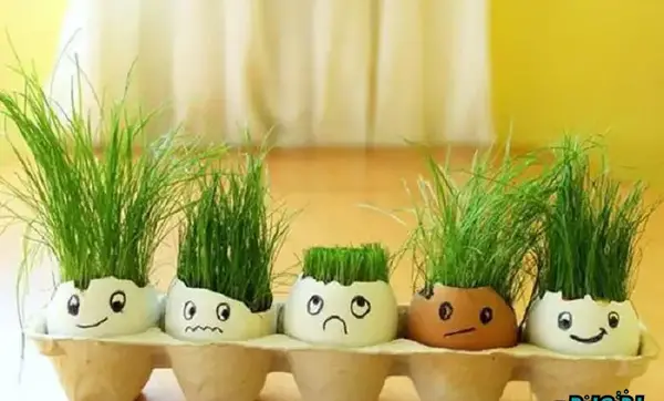 عکس سبزه با خرفه