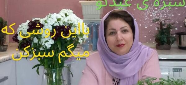 عکس سبزه با خرفه
