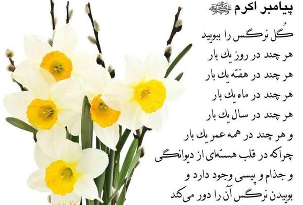 عکس نوشته دلتنگی فاطمه