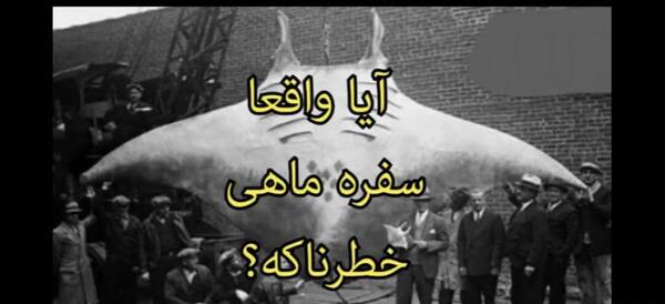 عکس سفره ماهی برقی