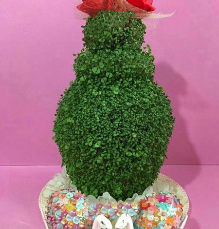 عکس سبزه ی گاودانه