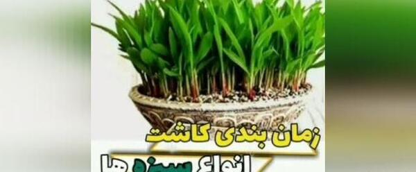 عکس سبزه درختی
