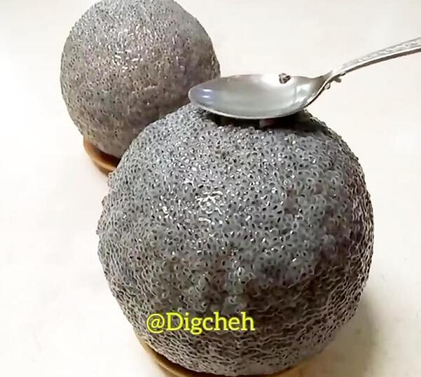 عکس سبزه درختی