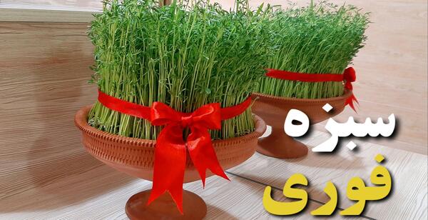 عکس سبزه درختی