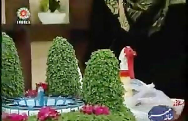 عکس سبزه کنجد سیاه