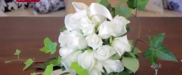 عکس سبزه کنجد سیاه