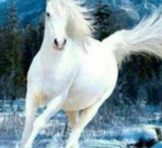عکس فیک کارتونی دخترانه
