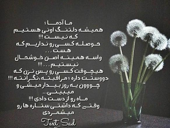 عکس هایی از فیلم گیسو کمند